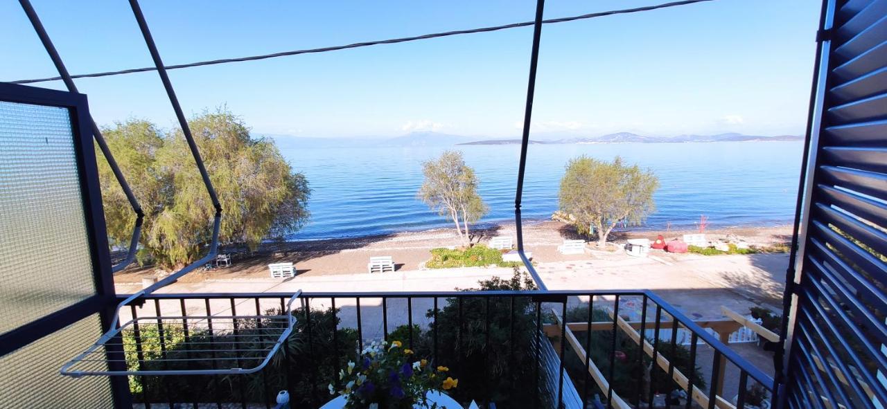 Vikos Beach Apartments Paralia Irion Exterior foto