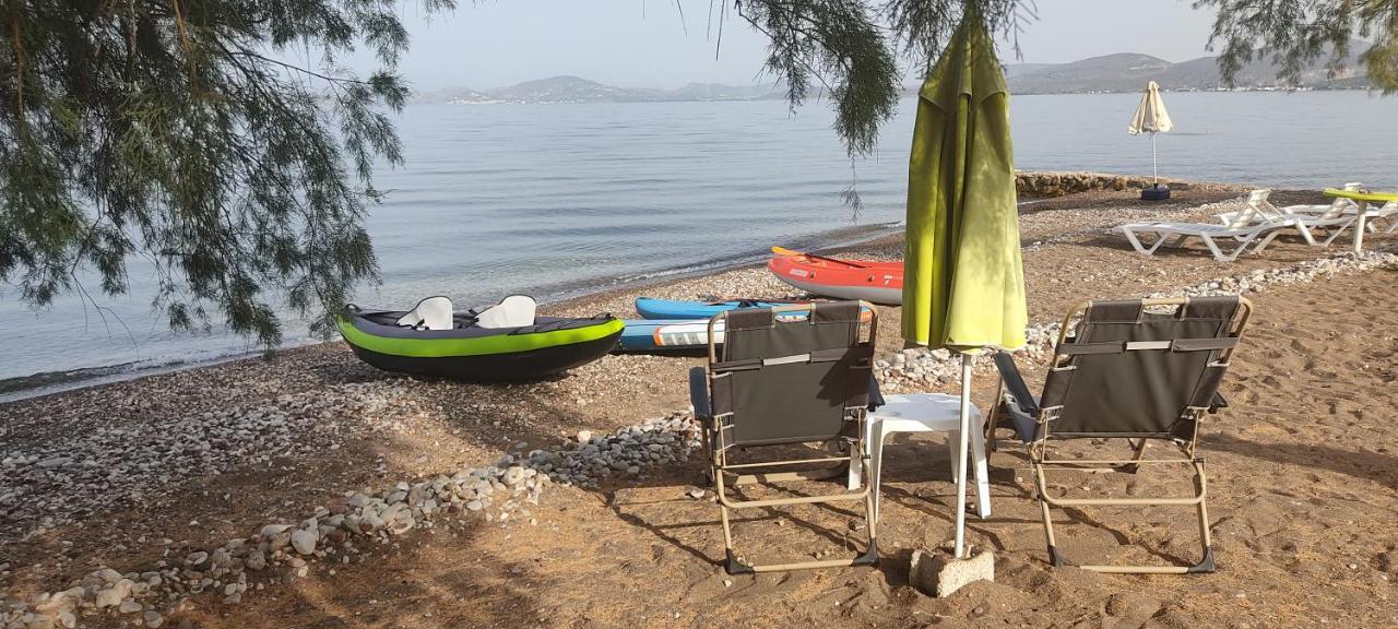Vikos Beach Apartments Paralia Irion Exterior foto